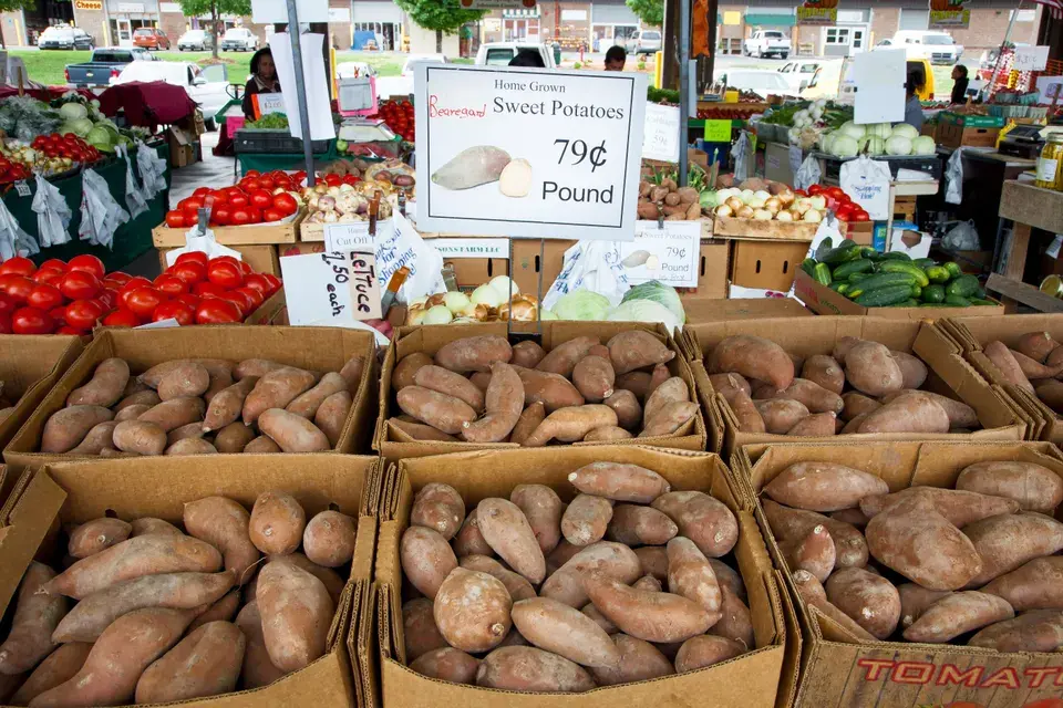 Local Landmarks & Community Favorites in Watauga in Watauga